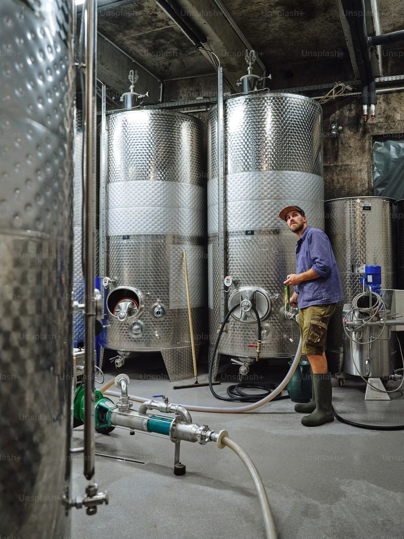 Winery production facility with stainless tanks